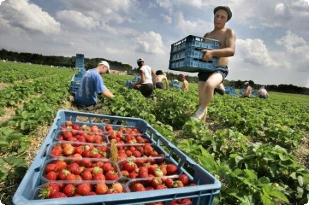 Werkloos en bijverdienen